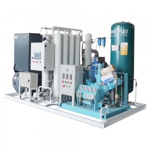 integrated oxygen generator 20cylinders per day (2)